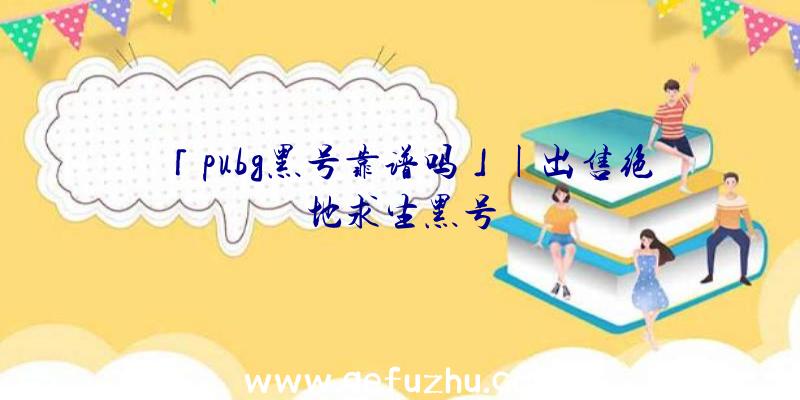 「pubg黑号靠谱吗」|出售绝地求生黑号